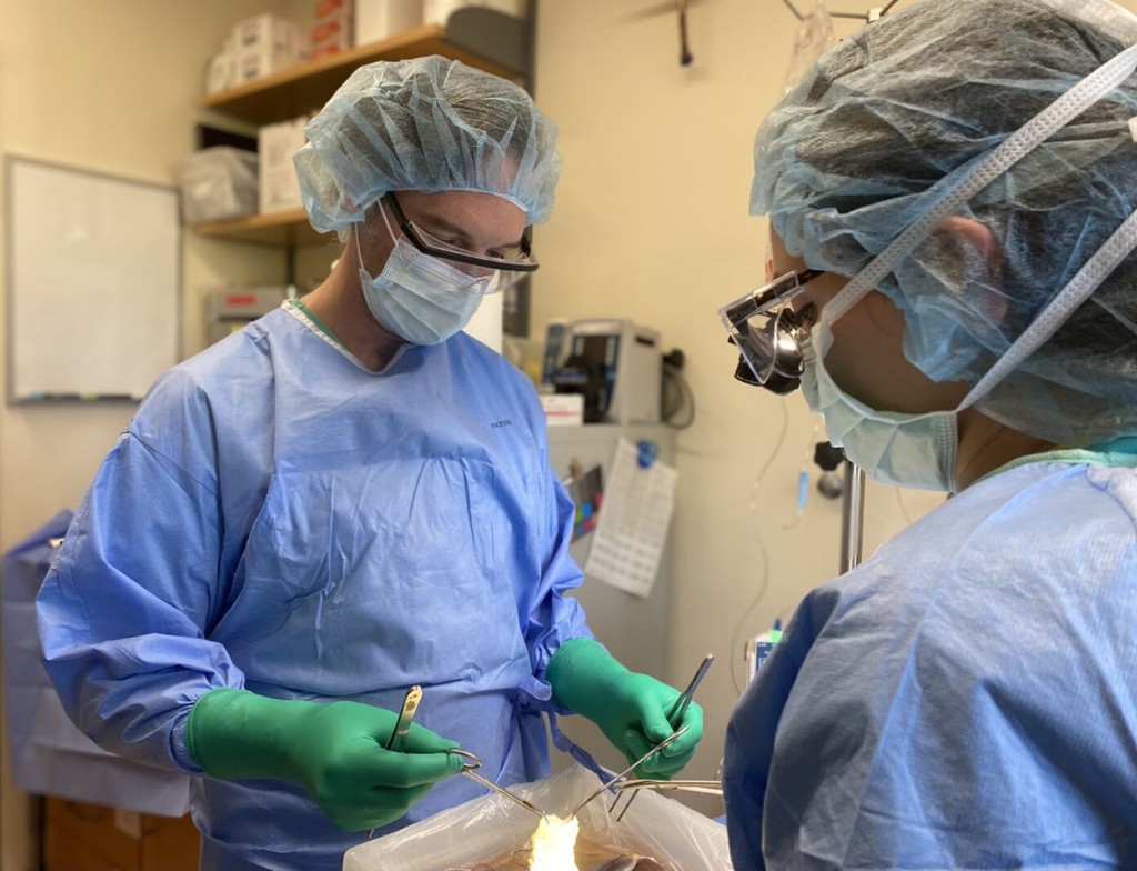 Revalia Bio's Quest to Replace Animal Models with Human Organs