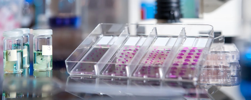 Why Data Integrity Is an Ethical Obligation, Not Just a Scientific One